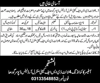 New 04 Light DSF Company COD Sargodha Jobs august advertisement 2024