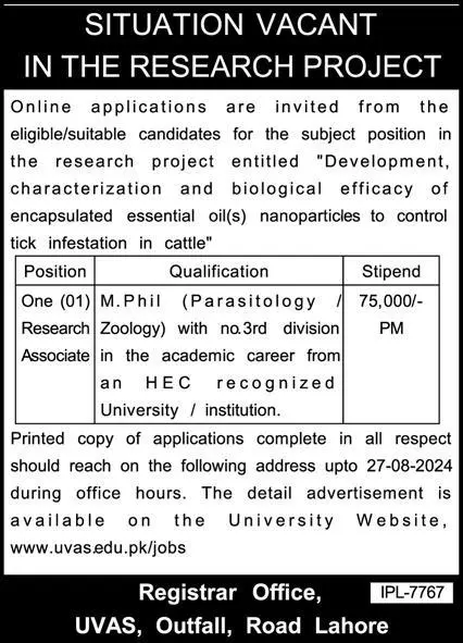 University of Veterinary and Animal Sciences UVAS jobs in Lahore August Advertisement 2024