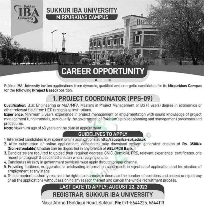 New Sukkur IBA University Project Coordinator Jobs August Advertisement 2024