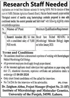 Research Associate jobs at University of Punjab PU Lahore August Advertisement 2024