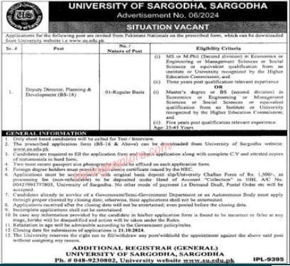 Deputy Director Job in UOS University of Sargodha October 2024