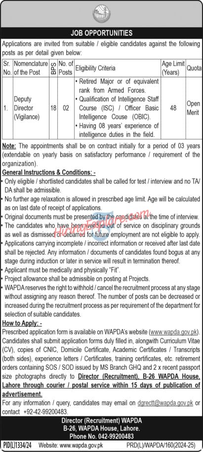 Latest Deputy Director Jobs in WAPDA November 2024 Advertisement